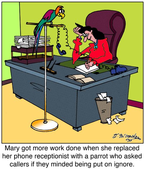 Mary got more work done when she replaced her phone receptionist with a parrot who asked callers if they minded being put on ignore.