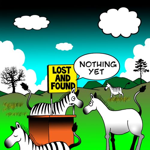 Zebra lost and found.