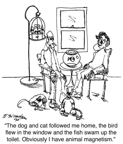 'The dog and cat followed me home, the bird flew in the window and the fish swam up the toilet. Obviously I have animal magnetism.'