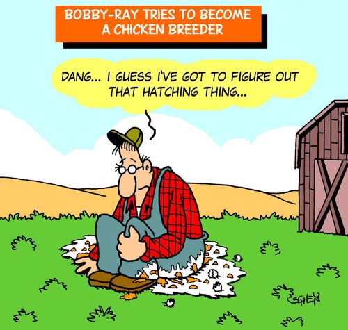 Bobby-Ray tries to become a chicken breeder