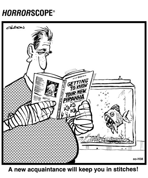 A new acquaintance will keep you in stitches!