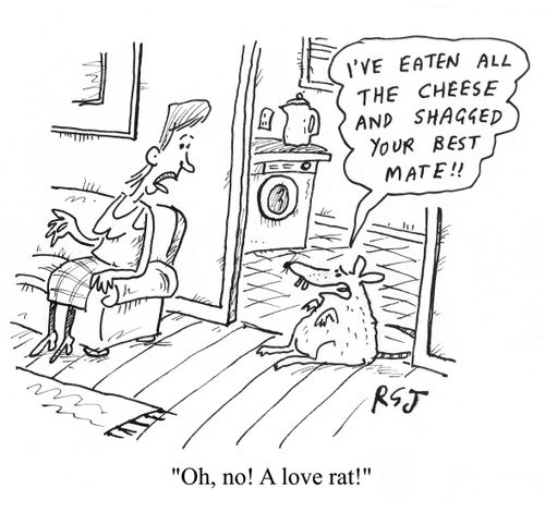 'Oh, no! A love rat!'