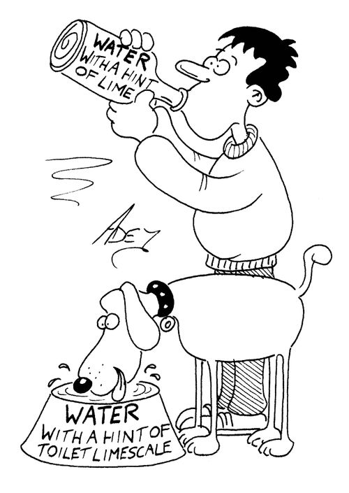 Dog drinking 'water with a hint of toilet limescale.'