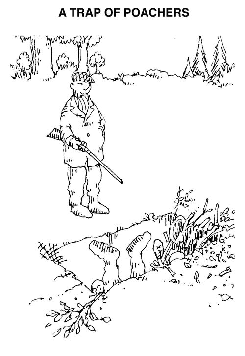 A trap of poachers