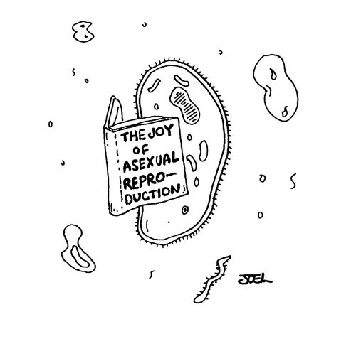The Joy of Asexual Reproduction