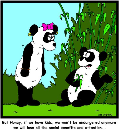 'But Honey, if we have kids, we won't be endangered anymore: We will lose all the social benefits and attention...'