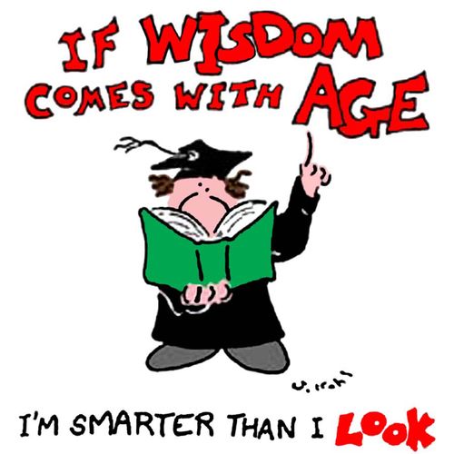 If wisdom comes with age, I'm smarter than I look.