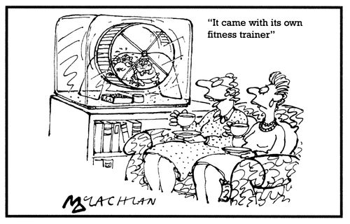 'It came with it's own fitness trainer.'