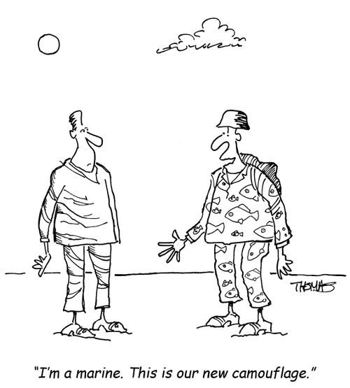 'I'm a marine. This is our new camouflage.'