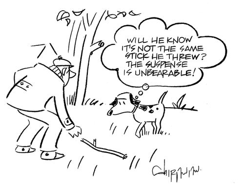 'Will he know it's not the same stick he threw? The suspense is unbearable!' 