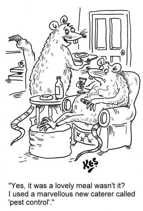 "Yes, it was a lovely meal wasn't it? I used a marvellous new caterer called 'pest control'."