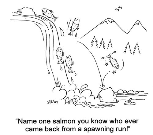 'Name one salmon you know who ever came back from a spawning run.'