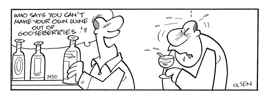 who says you cant make your own wine out of gooseberries