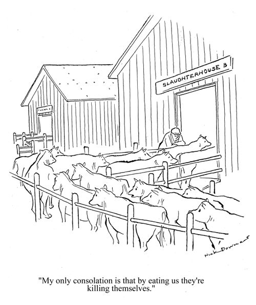 'My only consolation is that by eating us they're killing themselves.'