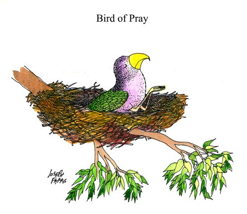 Bird of Pray.