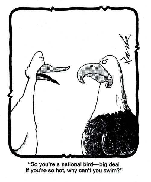 'So you're a national bird, big deal. If you're so hot, why can't you swim?' 
