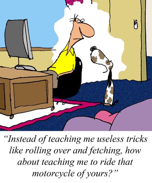 'Instead of teaching me useless tricks like rolling over and fetching, how about teaching me to ride that motorcycle of yours?'