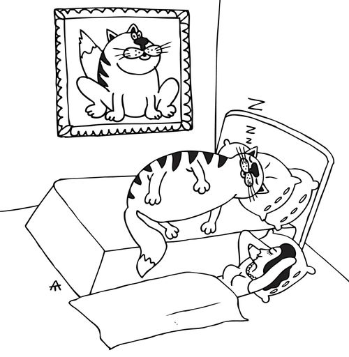 Spoiled Cat.