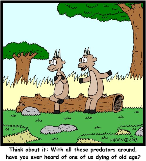 'Think about it: With all these predators around, have you ever heard of one of us dying of old age?'