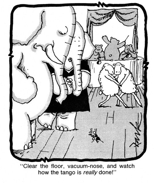'Clear the floor, vacuum nose, and watch how the tango is really done!'