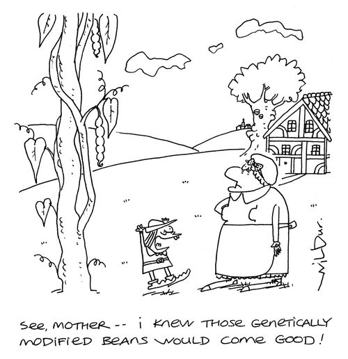 'See, Mother - I knew those genetically modified beans would come good!'