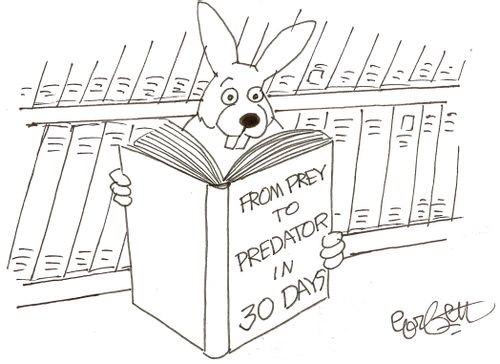 Book: 'From prey to predator in 30 days.'