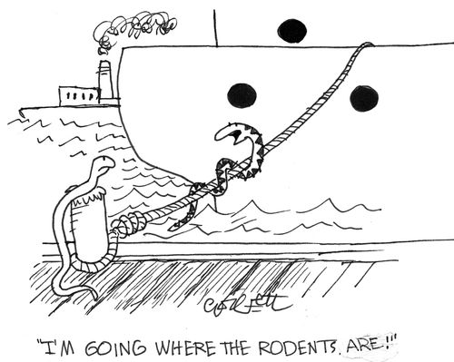 snake: 'I'm going where the rodents are.'