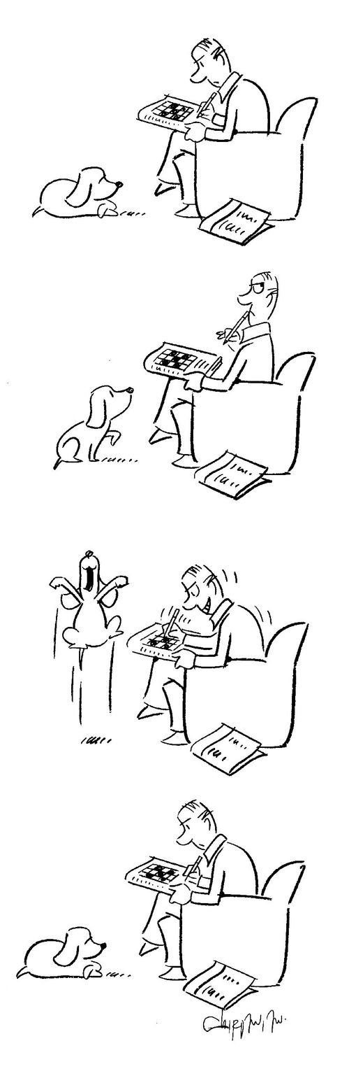 Dog responding to his master doing a crossword.