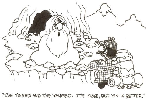 'I've yinned and I've yanged.  It's close, but yin is better.'