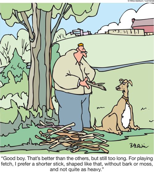 'Good boy. That's better than the others, but still too long. For playing fetch, I prefer a shorter stick, shaped like that, without bark or moss, and not quite as heavy.'