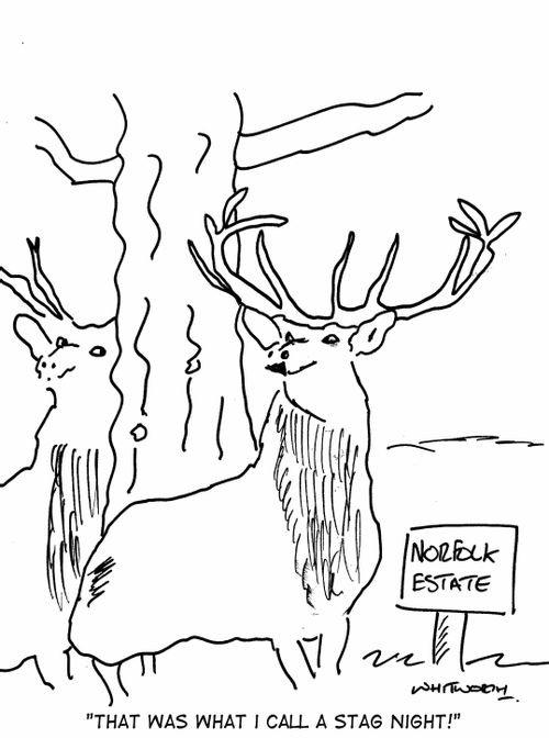 'That was what I call a stag night!'