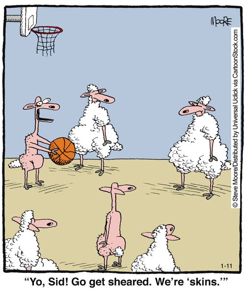 'Yo, Sid! Go get sheared. We're skins.'