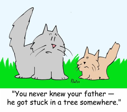 'You never knew your father - he got stuck in a tree somewhere.'