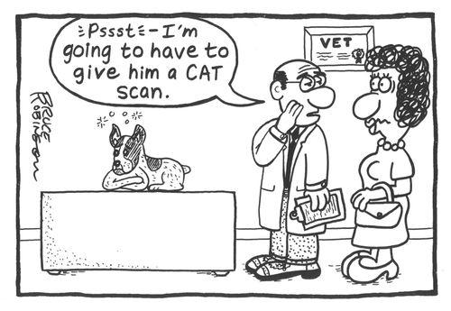 'Pssst - I'm going to have to give him a CAT scan.'