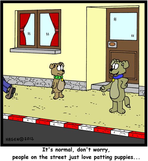 'It's normal, don't worry, people on the street just love patting puppies...'