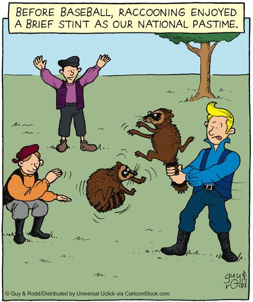 Before baseball, raccooning enjoyed a brief stint as the national pastime.