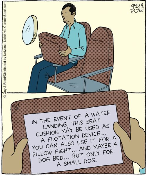 In the event of a water landing, this seat cushion may be used as a flotation device... you can also use it for a pillow fight... and maybe a dog bed... but only for a small dog.
