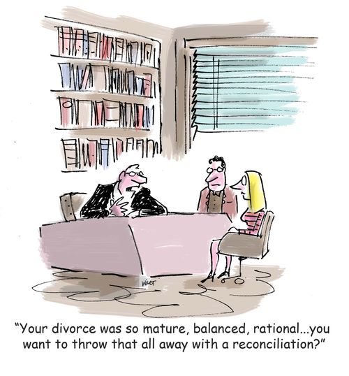 'Your divorce was so mature, balanced, rational...you want to throw that all away with a reconciliation?'