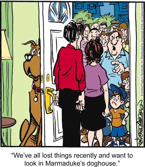 'We've all lost things recently and want to look in Marmaduke's doghouse.'