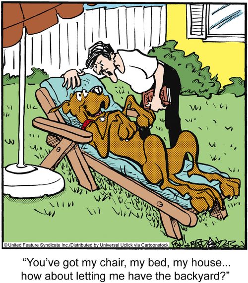 'You've got my chair, my bed, my house. . . how about letting me have the backyard?'
