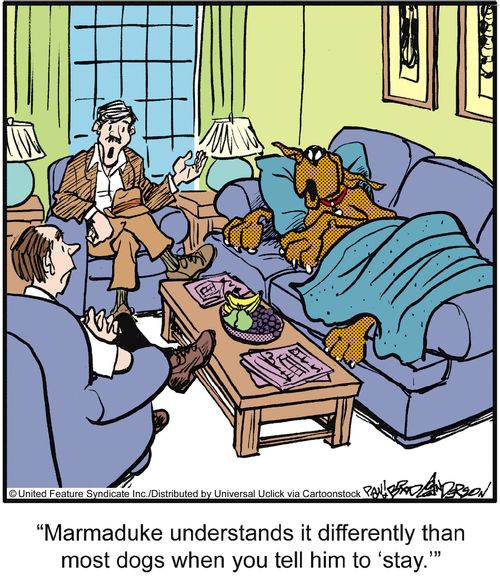 'Marmaduke understands it differently than most dogs when you tell him to 'stay'.'