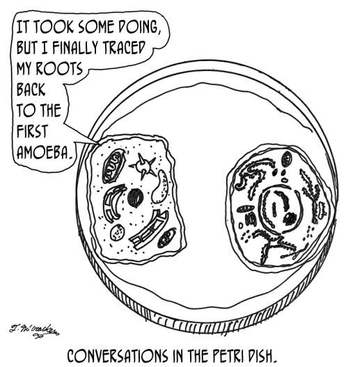 'It took some doing, but I finally traced my roots back to the first amoeba.'
