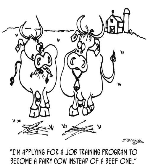 'I'm applying for a job training program to become a dairy cow instead of a beef one.'