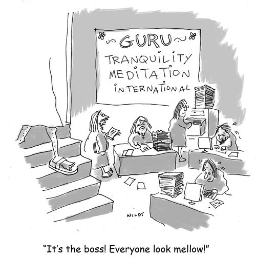 'It's the boss! Everyone look mellow!'