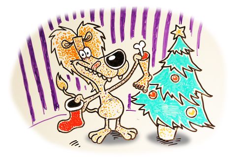 Lion Christmas Stocking.