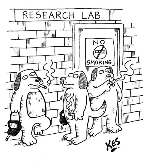 Dogs take a smoking break outside a research lab.