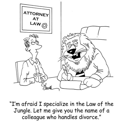 'I'm afraid I specialize in the Law of the Jungle. Let me give you the name of a colleague who handles divorce.'
