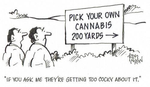 'If you ask me they're getting too cocky about it.'