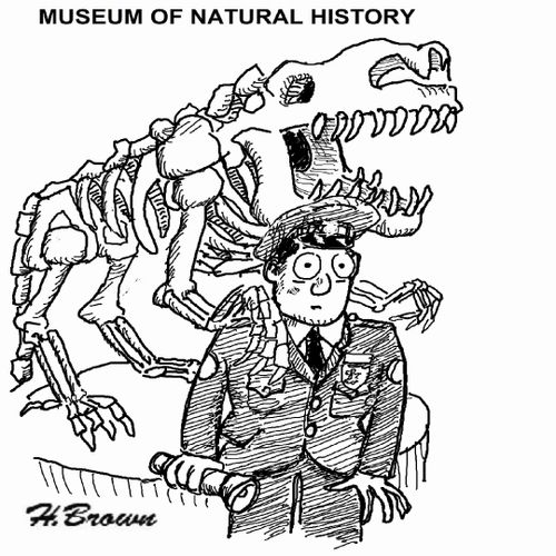 Museum of Natural History.