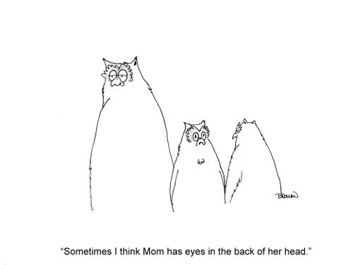 'Sometimes I think Mom has eyes in the back of her head.'